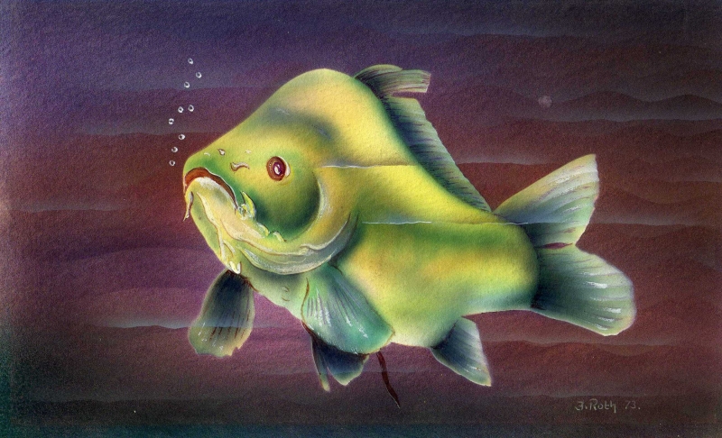 Der gruene Fisch